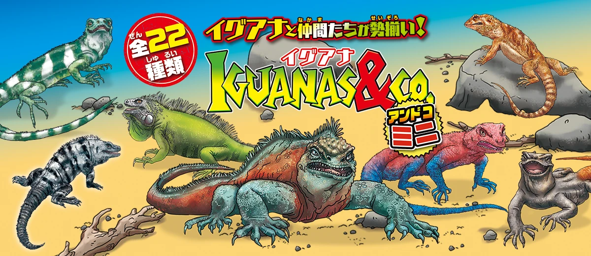 イグアナ&Co.（アンドコ）ミニ