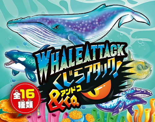 くじらアタック＆Co.（アンドコ）