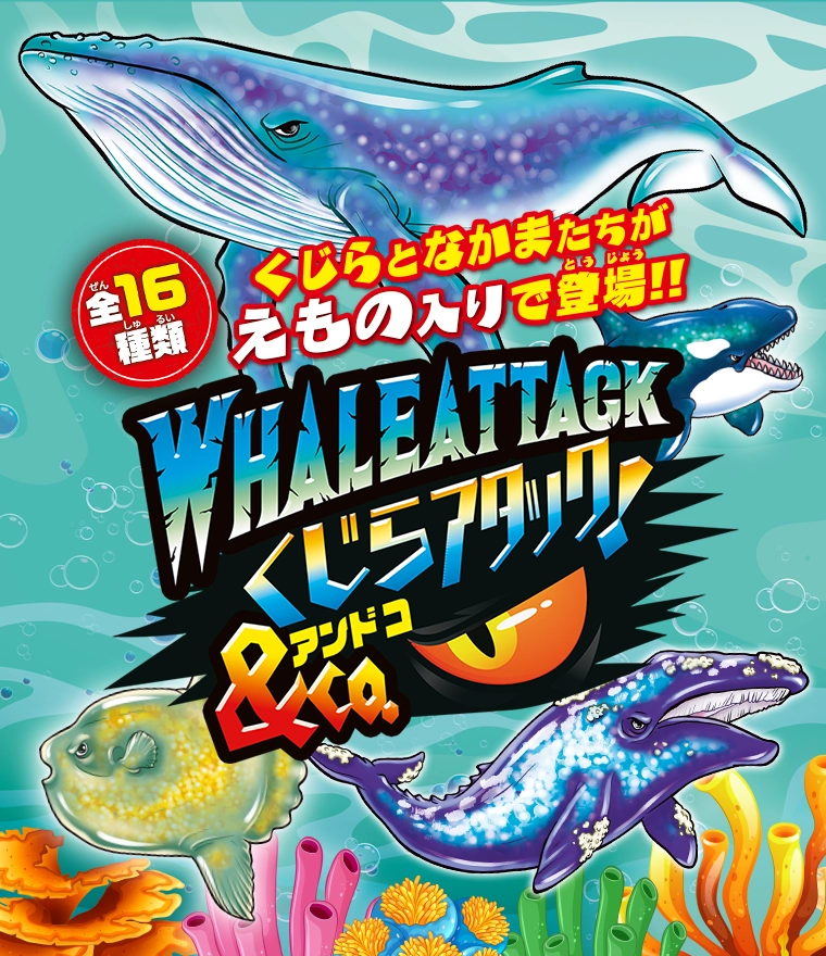 くじらアタック＆Co.（アンドコ）