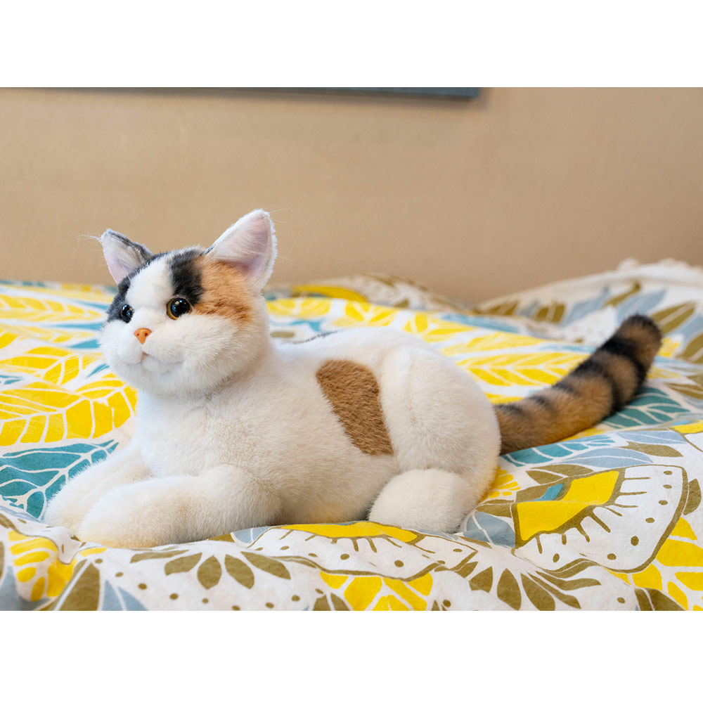 Amazon.co.jp: 開閉注意 ステッカー シール 猫がいます ネコ
