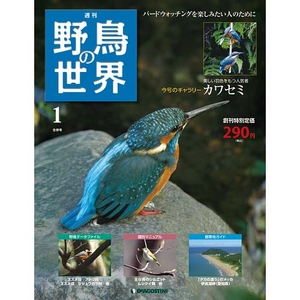 野鳥の世界| DeAGOSTINI デアゴスティーニ・ジャパン