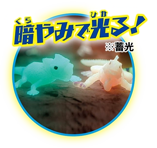 暗闇で光る！