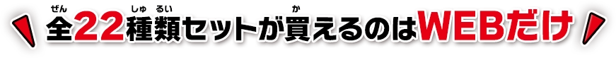 全22種類セットが買えるのはwebだけ