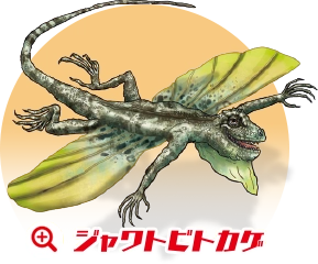 ジャワトビトカゲ