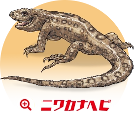 ニワカヘビ
