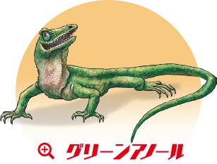 グリーンアノール