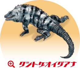 クシトゲオイグアナ