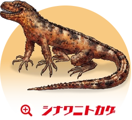 シナワニトカゲ