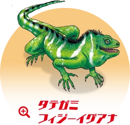 ダテガミフィジーイグアナ
