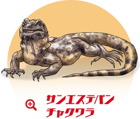 サンエステバンチャクワラ