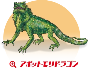 アボットモリドラゴン