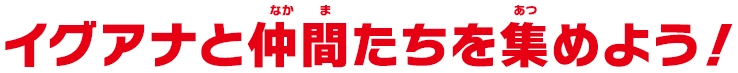 イグアナと仲間たちを集めよう！