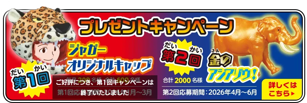 ジャングル＆Co.（アンドコ） | デアゴスティーニ公式