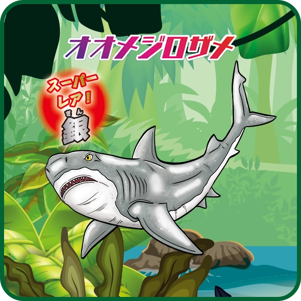 オオメジロザメ