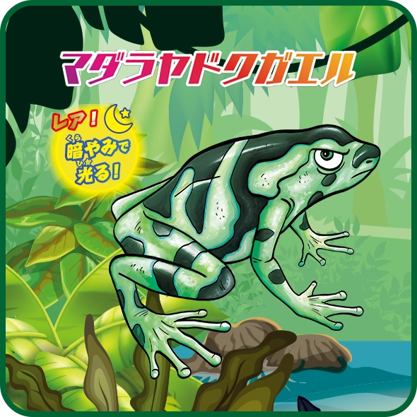 マダラヤドクガエル