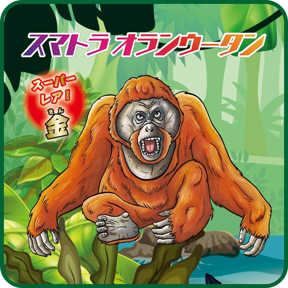 スマトラオラウータン