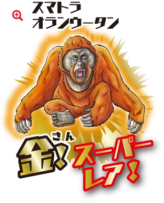 スマトラオラウータン