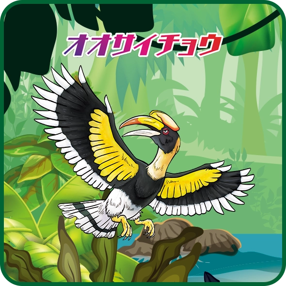 オオサイチョウ