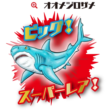 オオメジロザメ