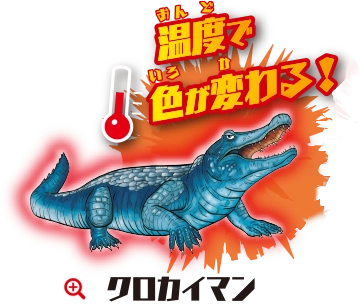 クロカイマン