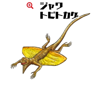 ジェワトビトカゲ