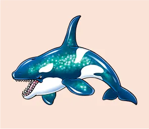 シャチ