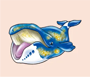 ホッキョククジラ