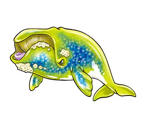 セミクジラ