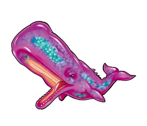 マッコウクジラ