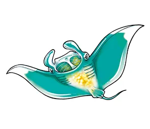 オニイトマキエイ