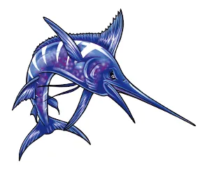 マカジキ