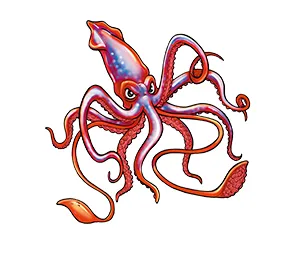 ダイオウイカ