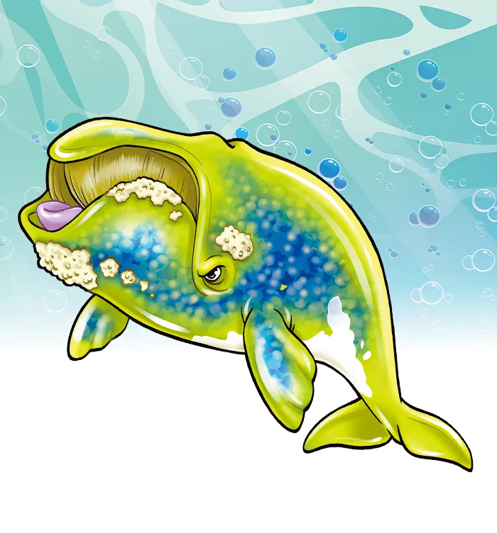 セミクジラ
