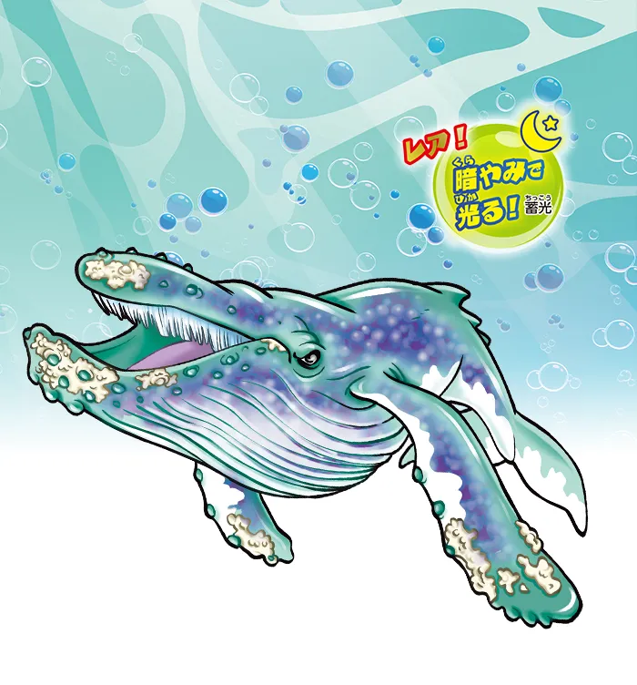 ザトウクジラ