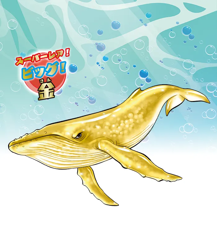 シロナガスクジラ