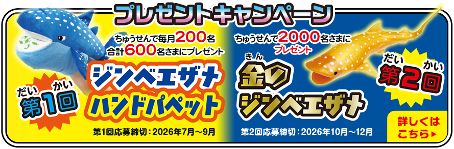 第1回ジンベエザメハンドパペット、第2回金のジンベエザメ