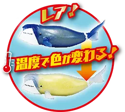 レア！温度で色が変わる！