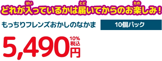 どれが入っているかは届いてからのお楽しみ！10個パック 5,490円+10％税込