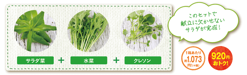 グリンテリア専用種子セット 3種の中華野菜セット 野菜 3箱種子セット オンラインショップ デアゴスティーニledプランター