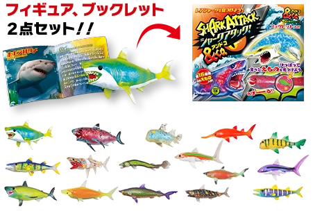 海に生き物の生態が学べるブックレットついき