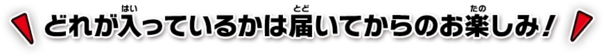 どれが入っているかは届いてからのお楽しみ