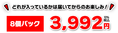 どれが入っているかは届いてからのお楽しみ！8個パック 3,992円+10％税込