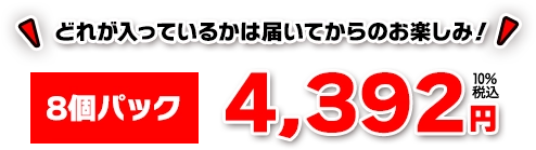 どれが入っているかは届いてからのお楽しみ！8個パック 4,392円+10％税込