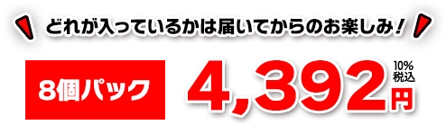 どれが入っているかは届いてからのお楽しみ！8個パック 4,392円+10％税込