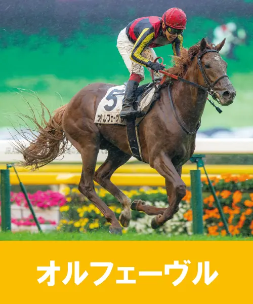 第3号