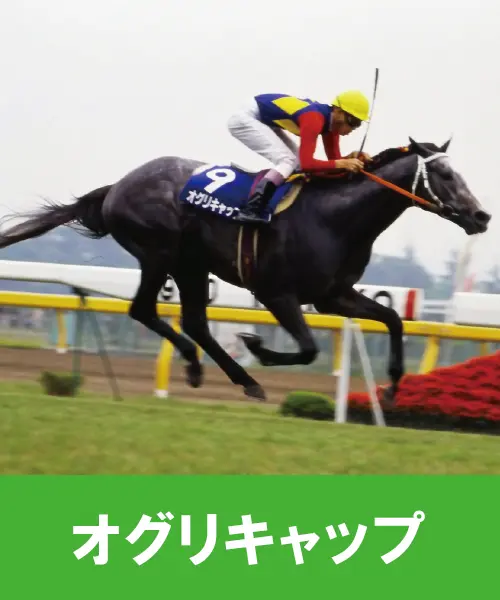 第4号