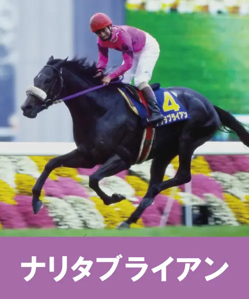 第5号