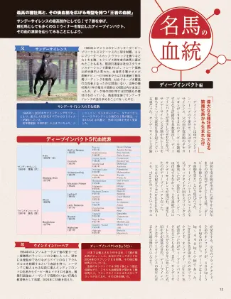 血統解説