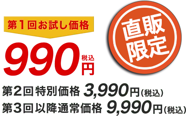 第1回お試し価格990円税込