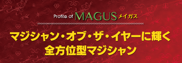 Profile of MAGUS メイガス マジシャン・オブ・ザ・イヤーに輝く全方位型マジシャン